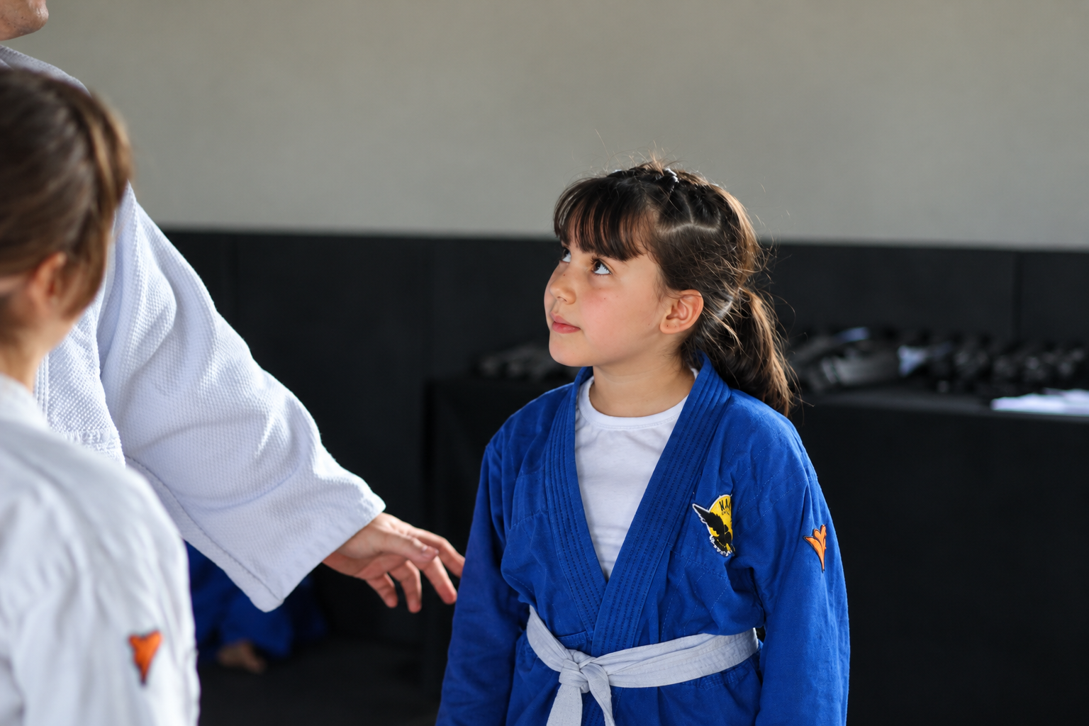 Judô na Karasu